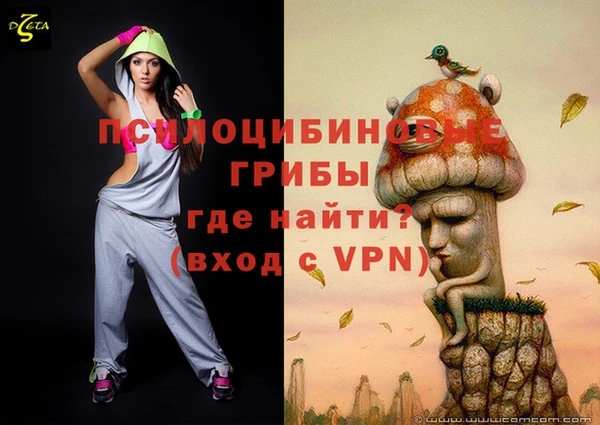 таблы Гатчина