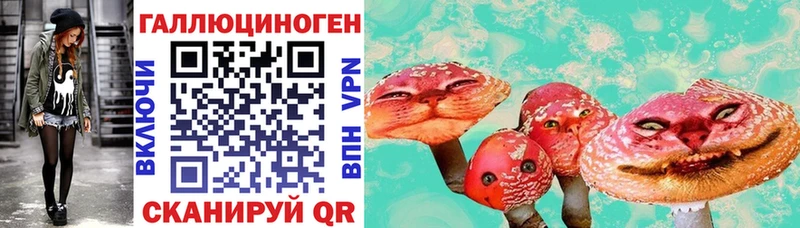 Псилоцибиновые грибы мицелий  наркотики  omg как зайти  Колпашево 